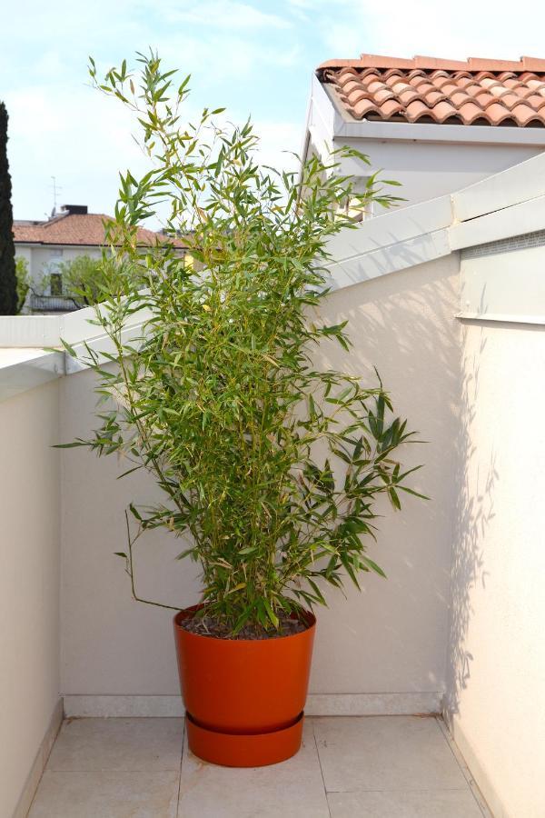 Zen Ar Holiday-home Appartamento
